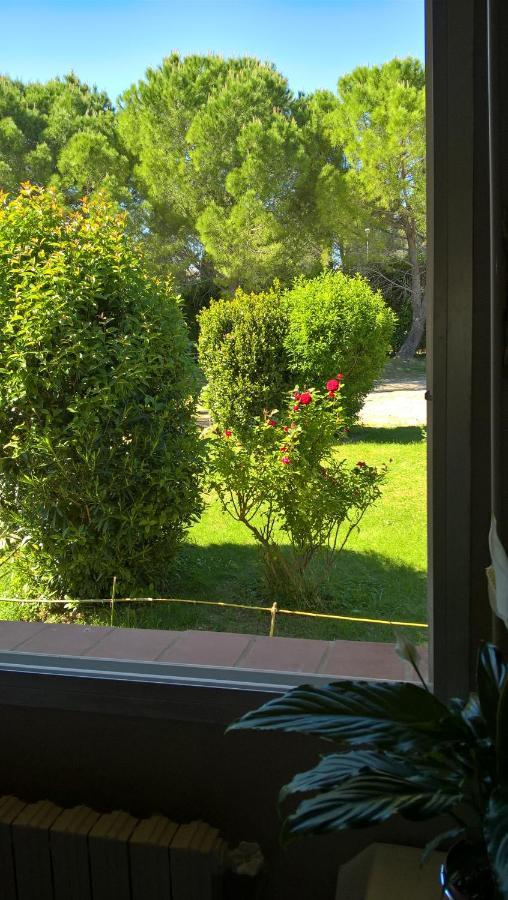 Bed and Breakfast Chez Naomi Saint-Jean-de-Cornies Zewnętrze zdjęcie